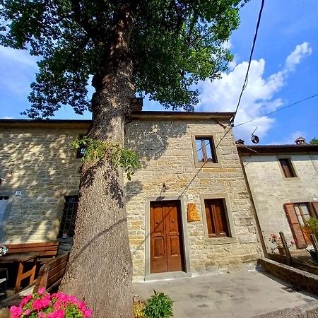 Appartement Casina La Quercia à Santa Sofia Extérieur photo