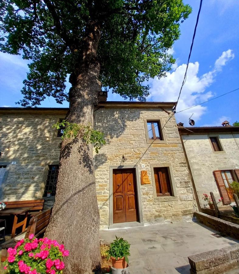 Appartement Casina La Quercia à Santa Sofia Extérieur photo