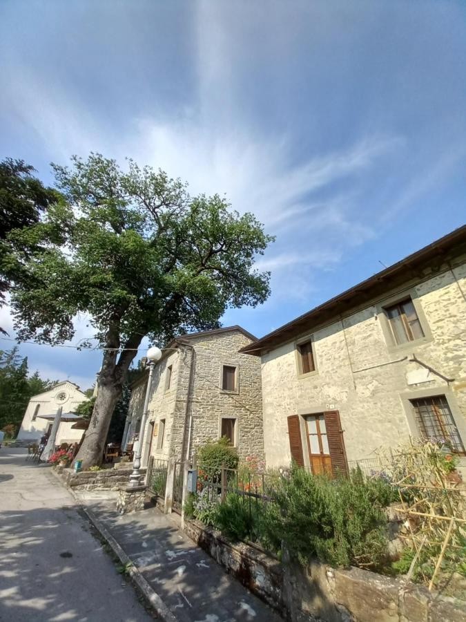 Appartement Casina La Quercia à Santa Sofia Extérieur photo