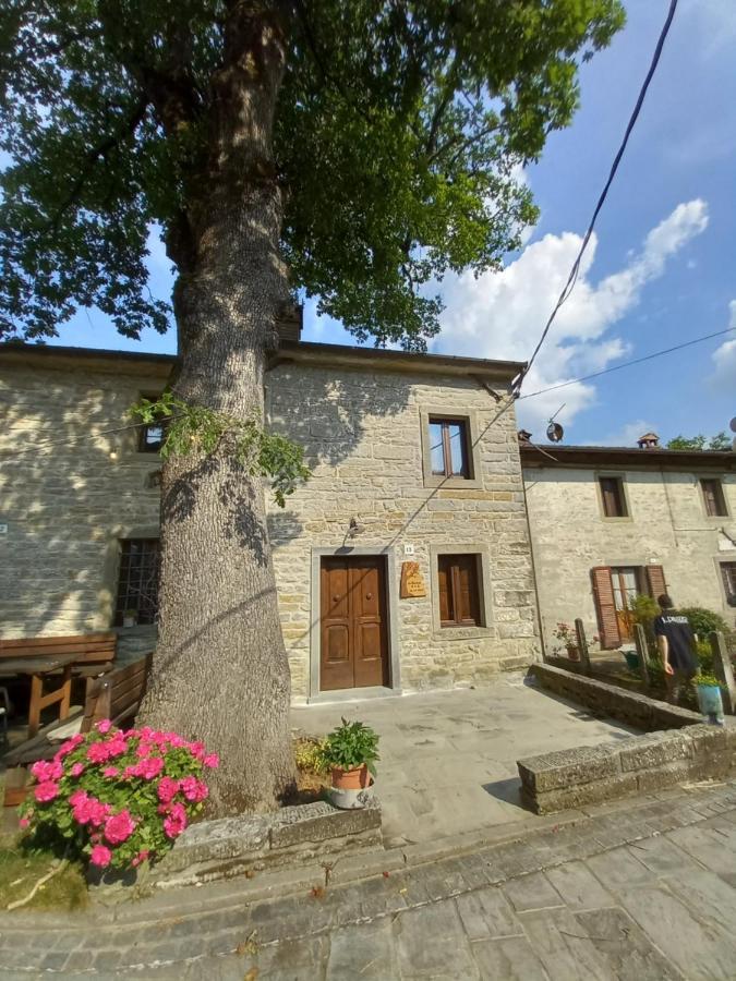 Appartement Casina La Quercia à Santa Sofia Extérieur photo